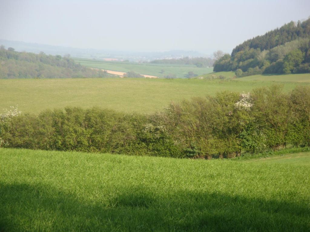 Stokesay Inn Крейвън Армс Екстериор снимка