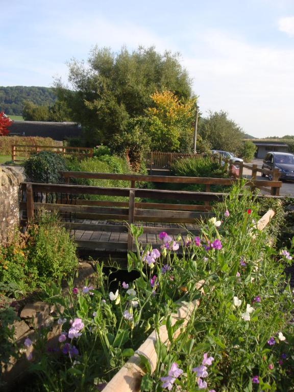 Stokesay Inn Крейвън Армс Екстериор снимка